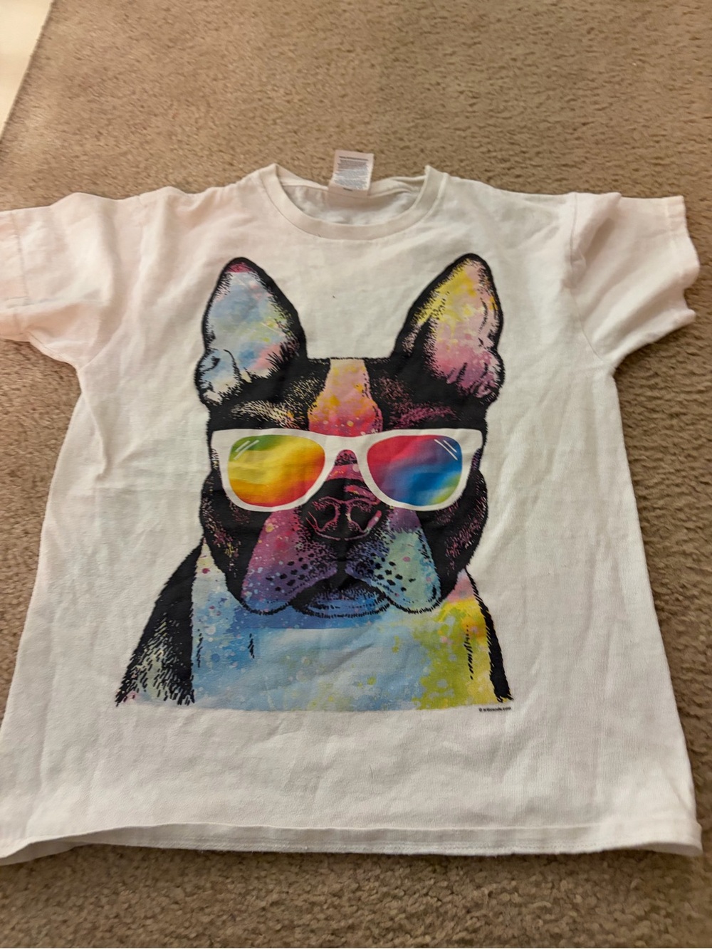 Youth Colorful Boston terrier French Bulldog Dog T-Shirt -